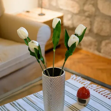 Daire Old Palace Dubrovnik